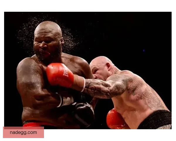 刘易斯vs巅峰对决回顾力量技巧与时代意义全解析格斗史经典之战解读